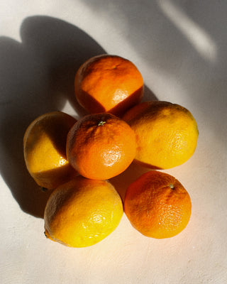 Citrus/Fruity