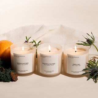 Psalms Collection Candle Bundle